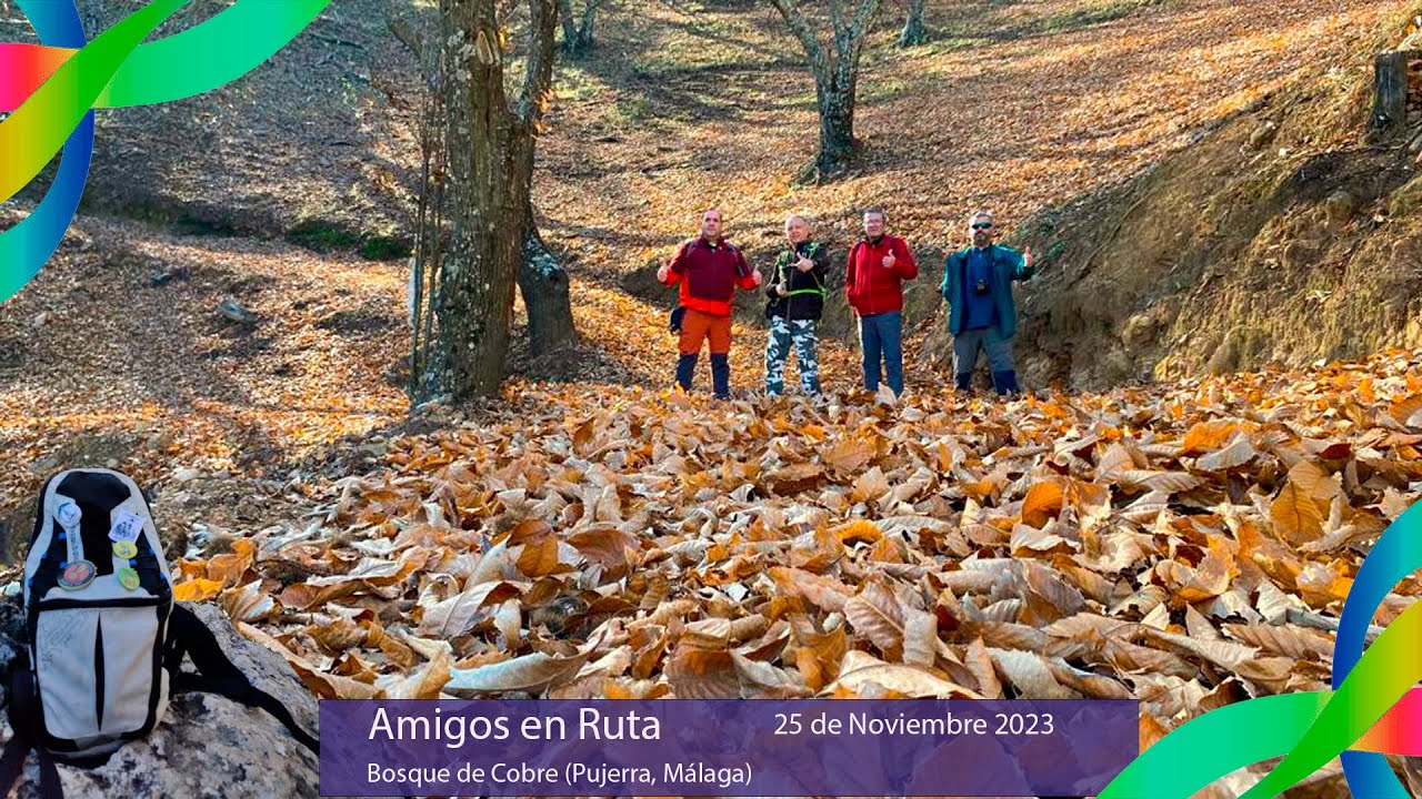 El Bosque de Cobre (Pujerra, Málaga)