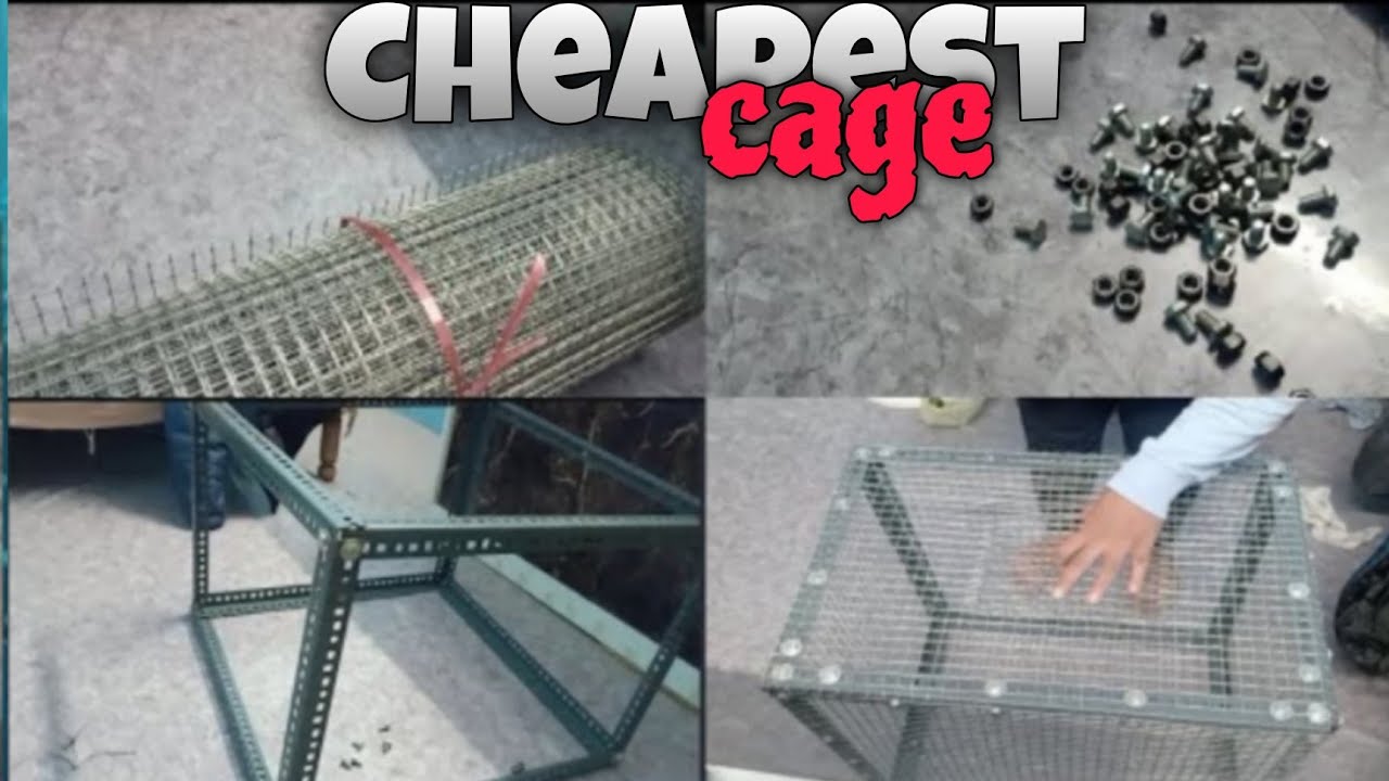 How to make cheapest cage for Birds | Afzal zone