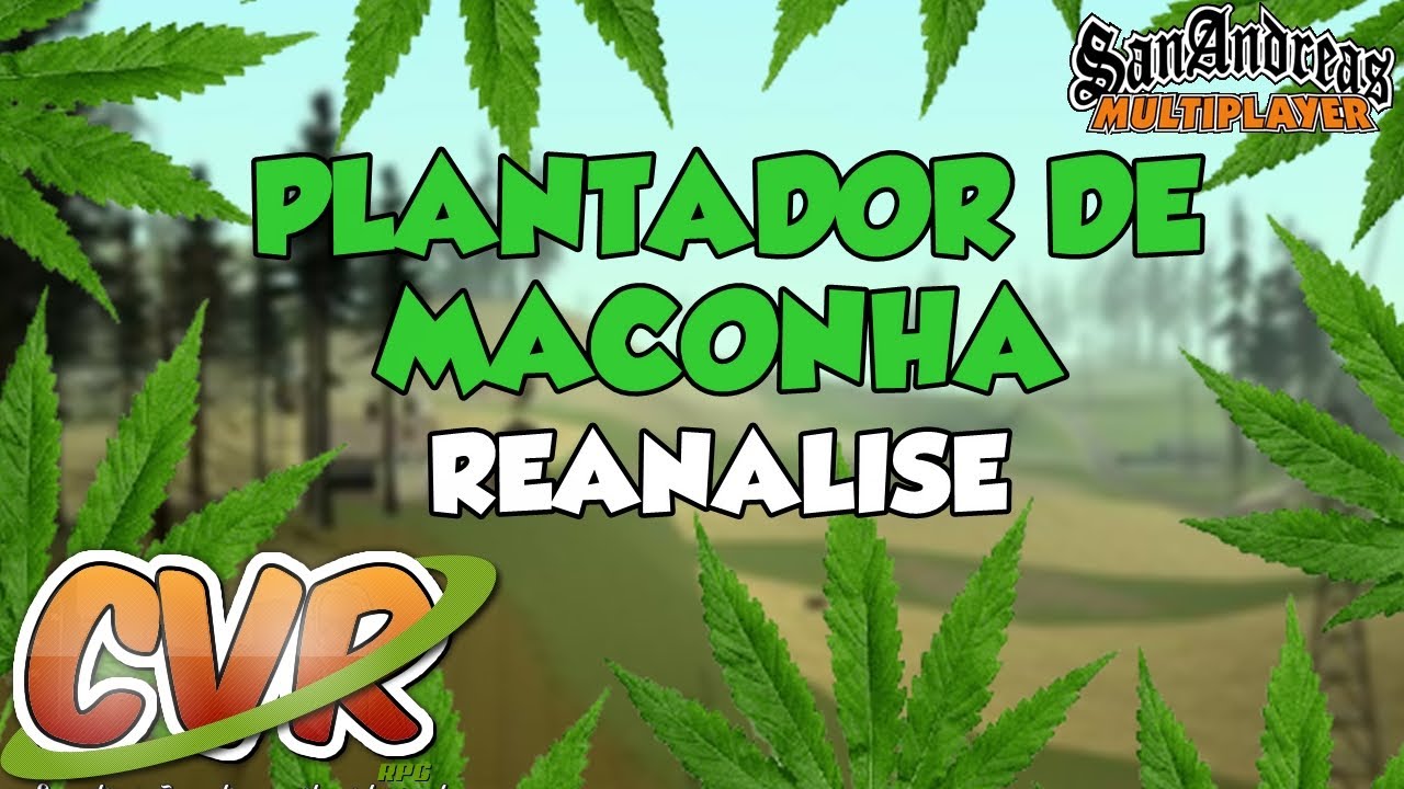 Reanalise do cargo Plantador de maconha! A MELHOR de todas! I SERVIDOR LOS KATCHORROS SAMP
