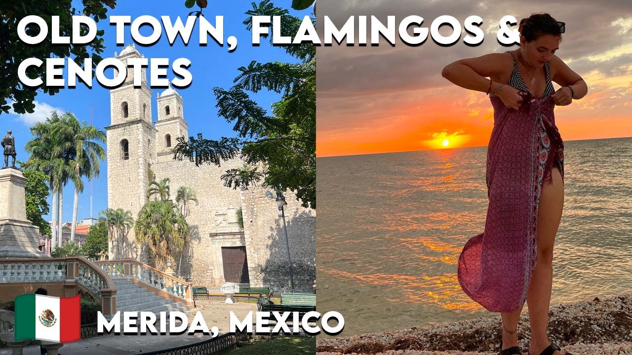 Merida Cenotes, Celestun & Exploring the old town 🦩 Mexico Travel Vlog 🇲🇽