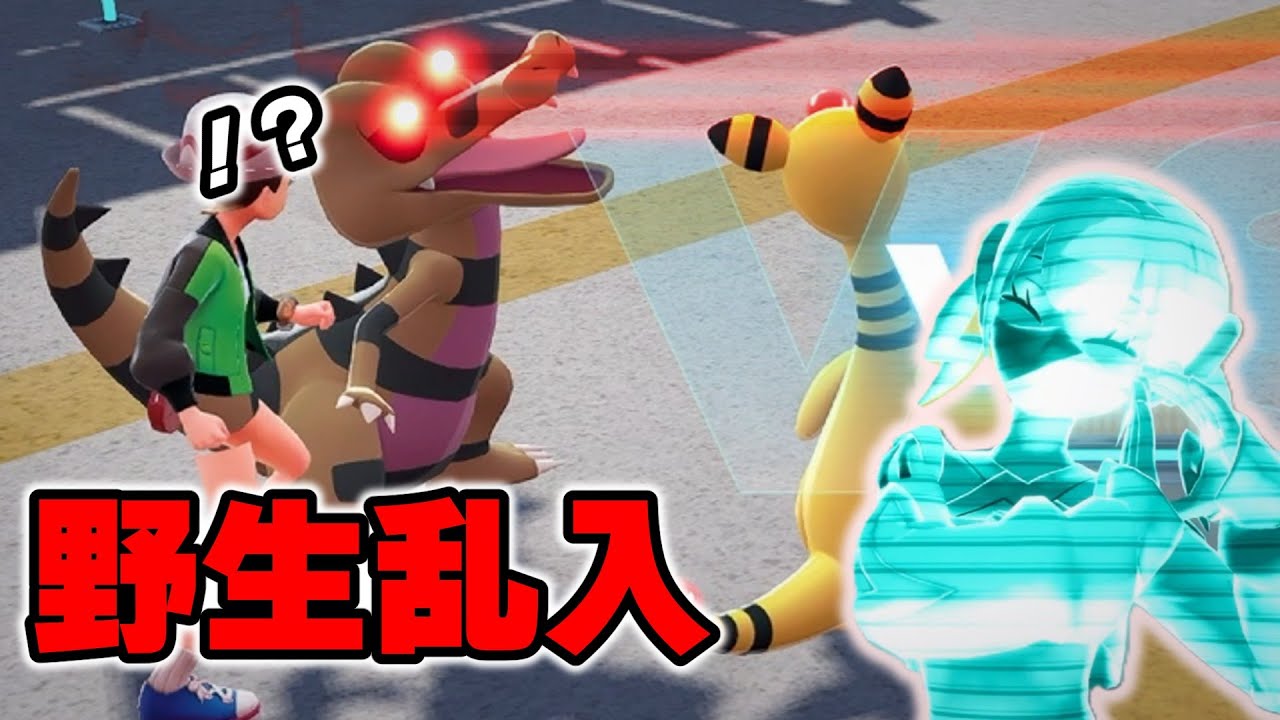 【ポケモンZA】野生ポケモンを街へ”密輸”、トレーナー戦に乱入させたらZAロワイヤルが始まった【バグ 検証】