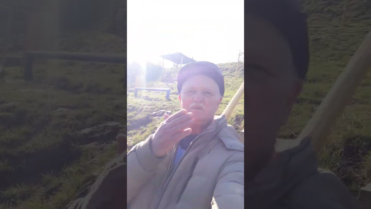 ПЛАВАТИ У ПАЛАНКУ