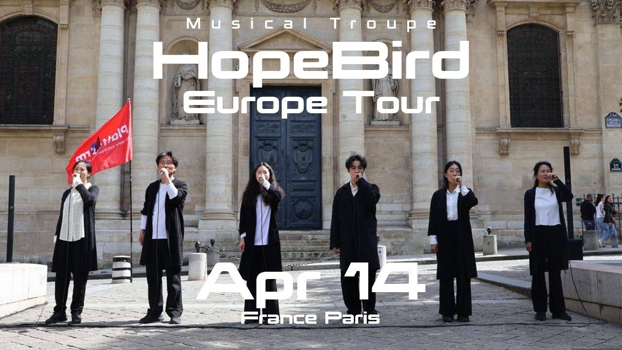 HopeBird Europe Tour April 14 Sorbonne University #musical #busking #freepalestine