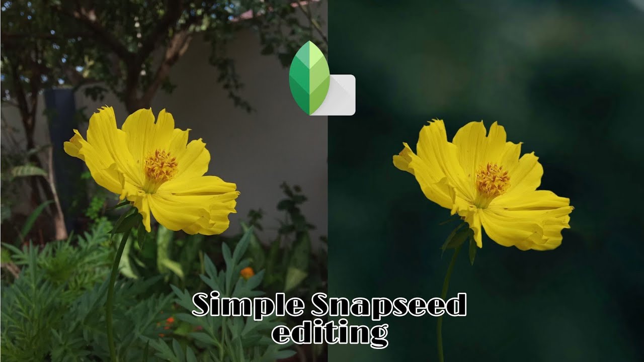 Moody background editing for beginners||Snapseed editing|2021editing! Background editing