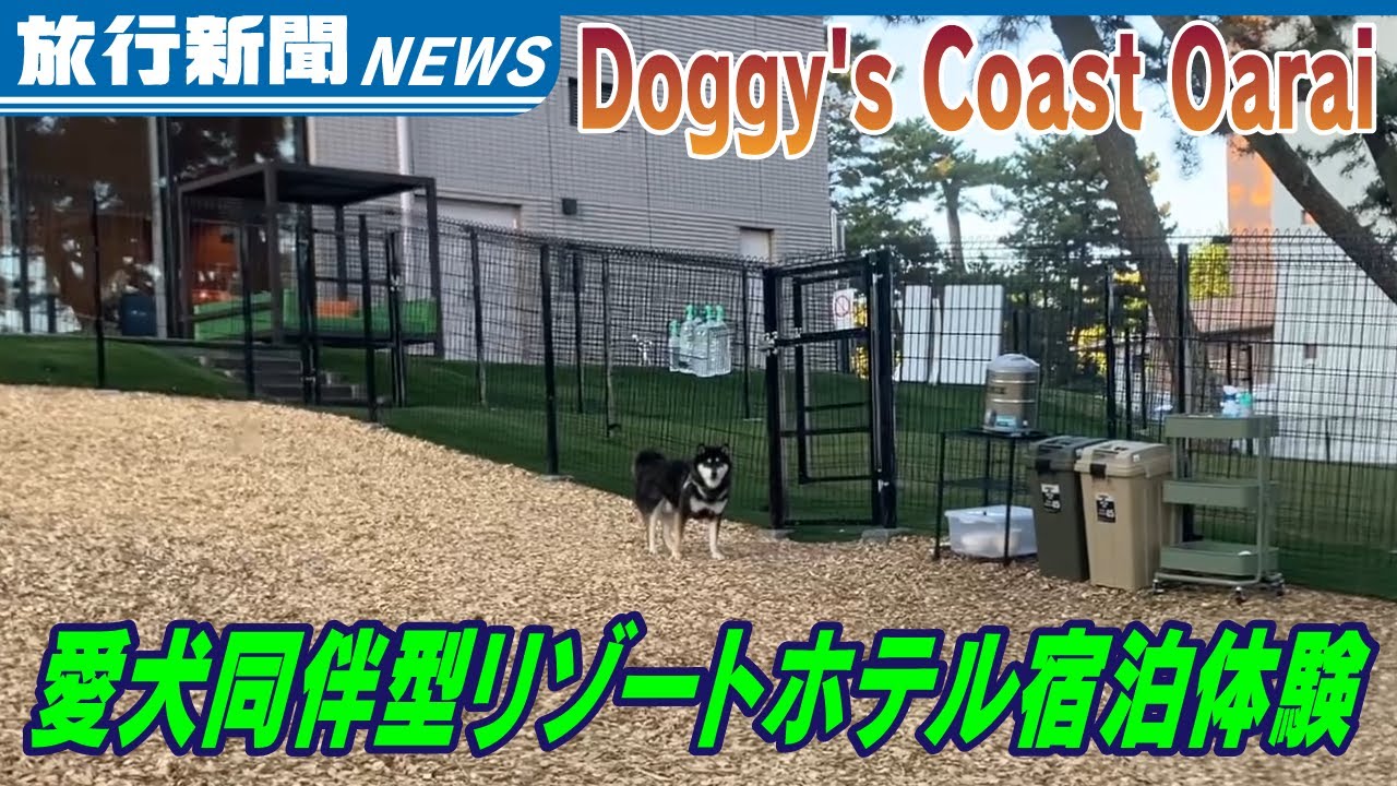 茨城県大洗町の愛犬同伴型リゾートホテル「Doggy's Coast Oarai」宿泊体験記