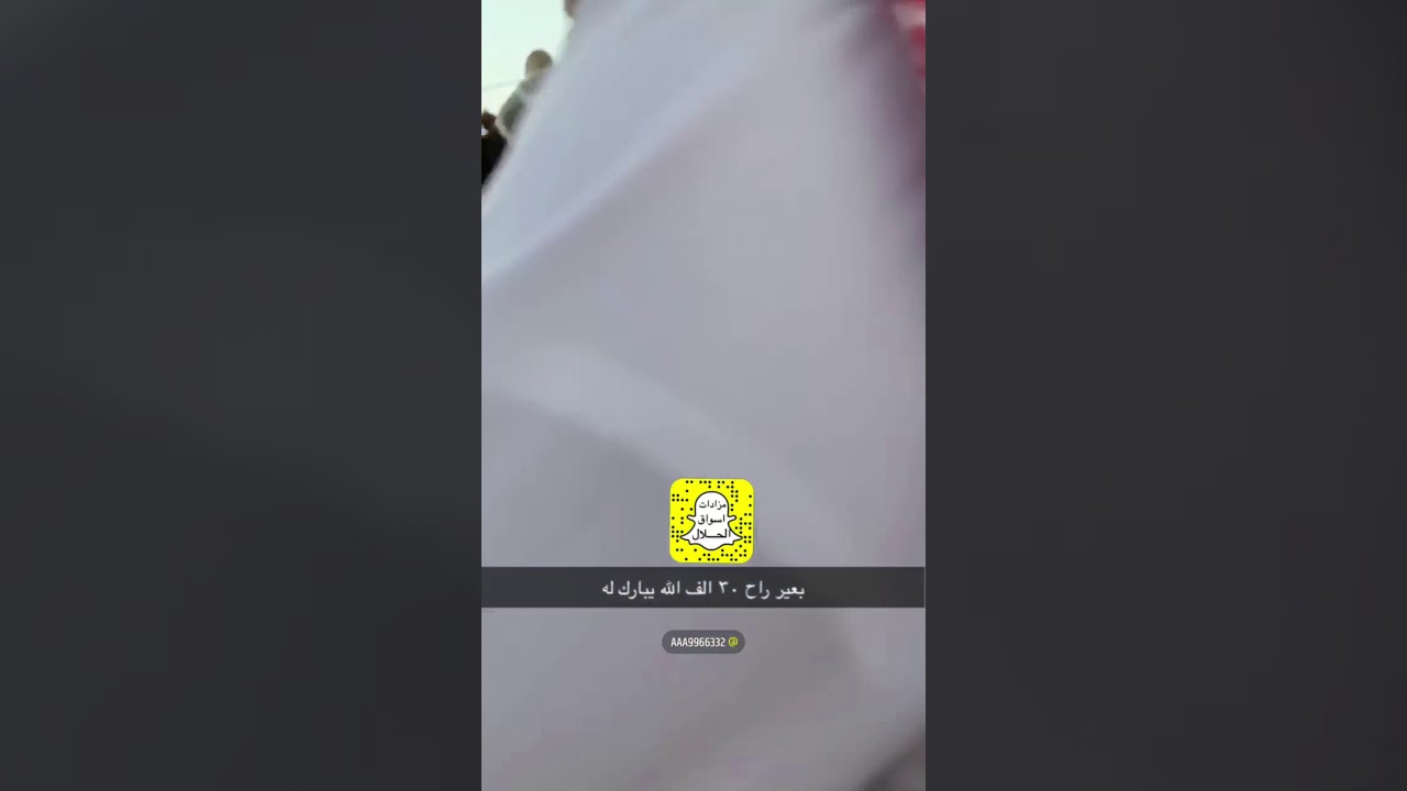 حراج الابل الحمر بسوق الشعله الجمعه ١٩ / ٤/ ١٤٤٢ الموقع مكه قهوه الجبل