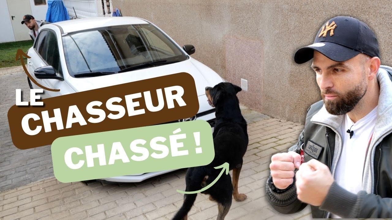 Ou comment jouer avec son chien SANS RIEN !