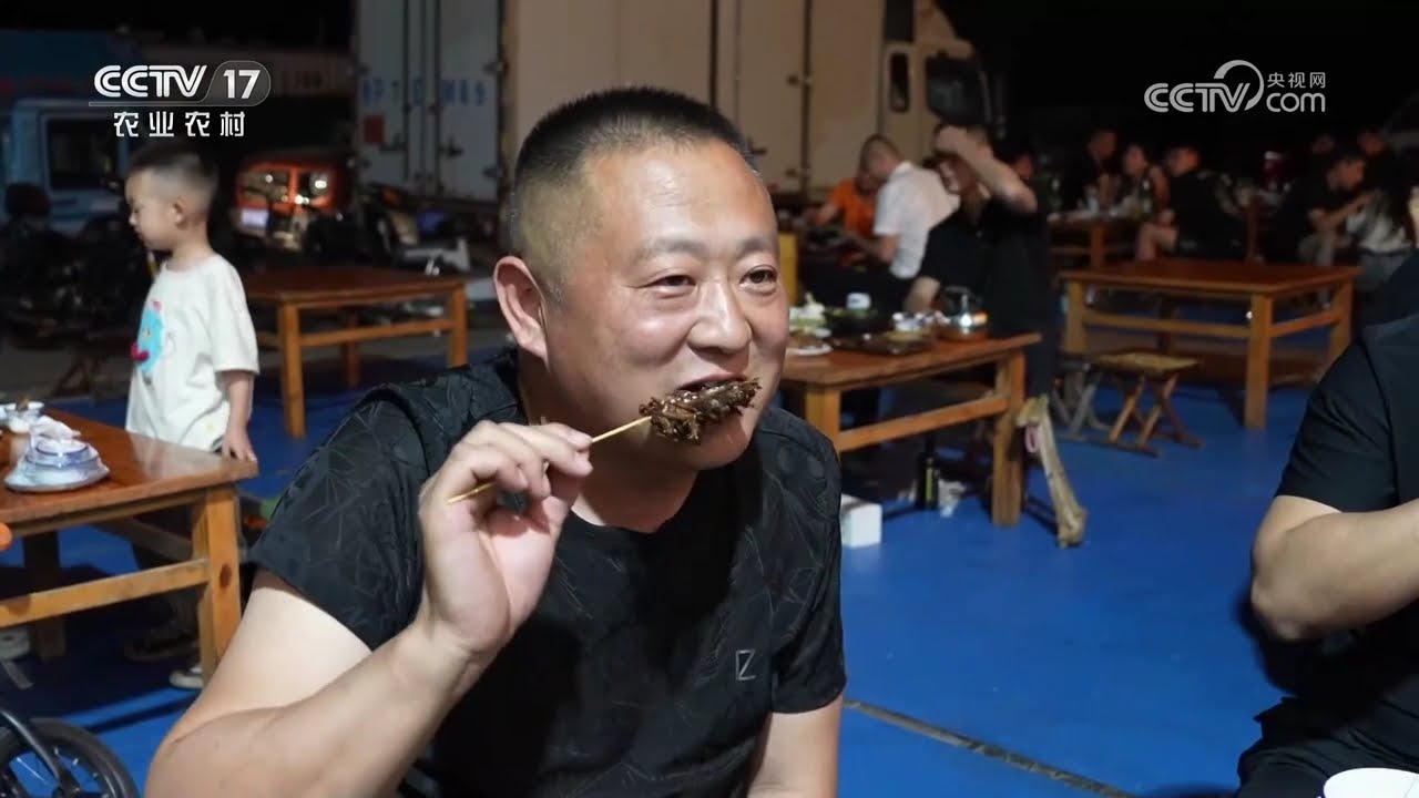 树上养蝉弱爆了！芦笋地藏金、飞虫变金虫，看他们如何玩转生态经济！《共富经》 20250807 小虫子 大名堂 | 农业致富经 Agriculture And Farming