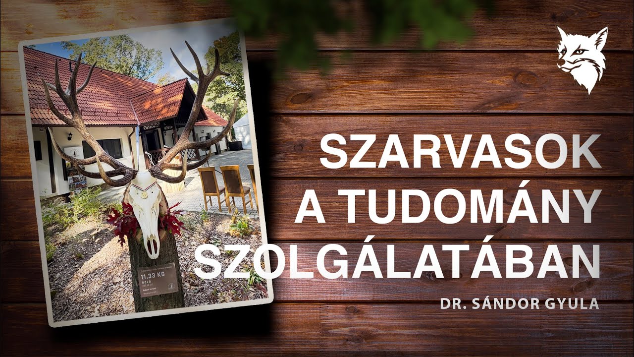 Szarvasok a tudomány szolgálatában - dr. Sándor Gyulával beszélgettünk