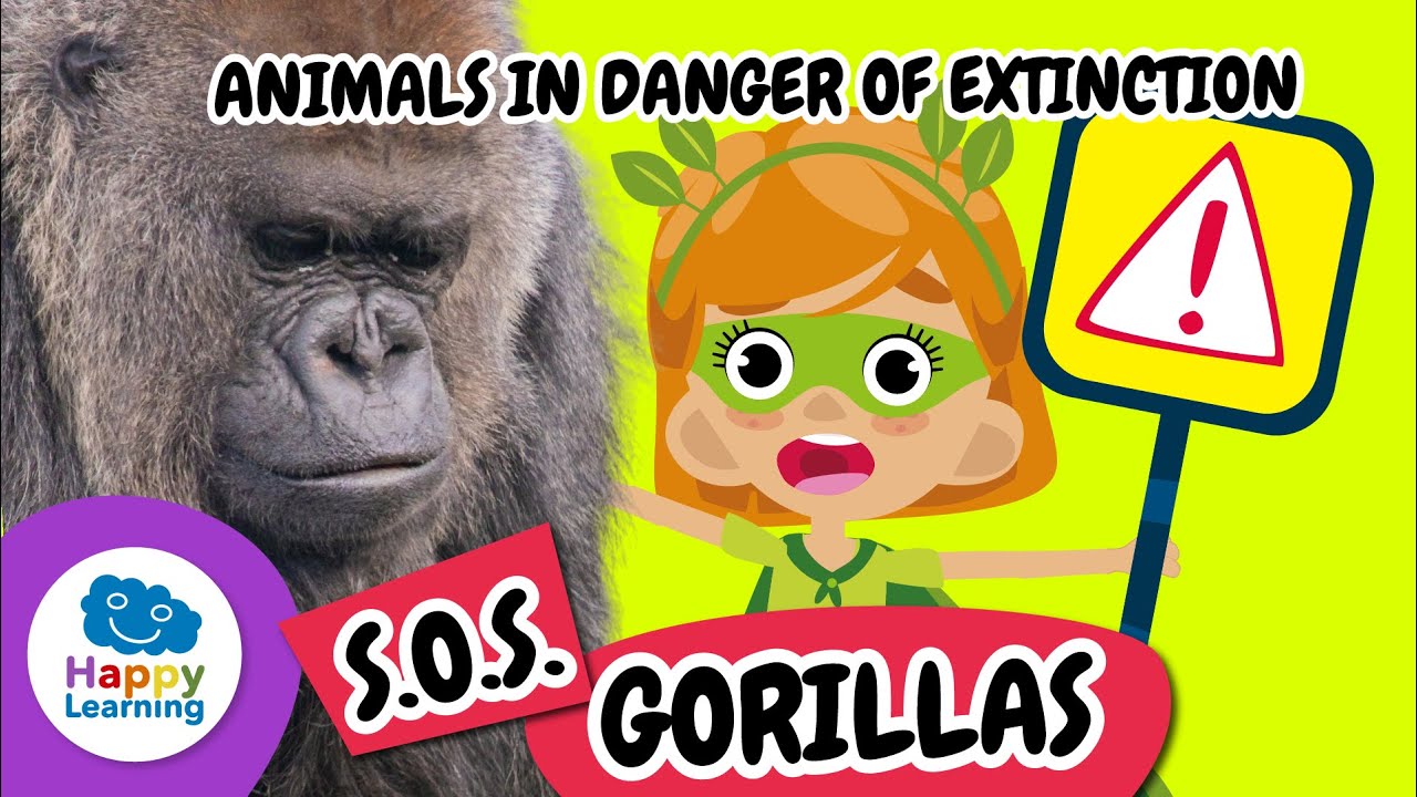 SOS ANIMALS: Let's Help the GORILLAS | Educational Videos for Primary School | @HappyLearningENG