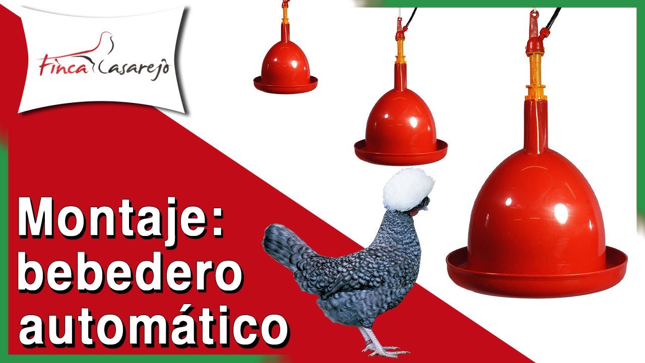 Bebedero automático para aves de corral - Montaje🔧
