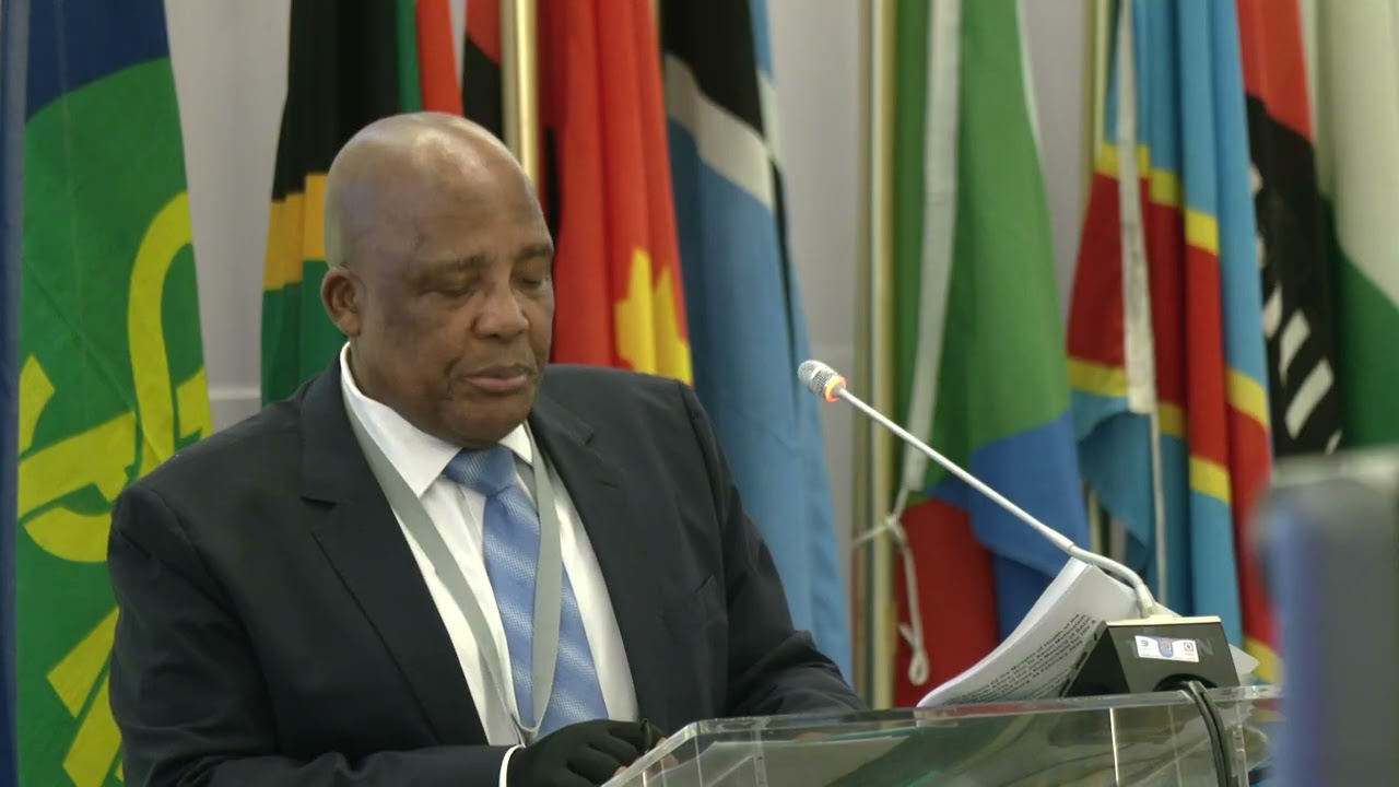 Minister Aaron Motswaledi calling on Africa's health autonomy instead of dependency #govzaupdates