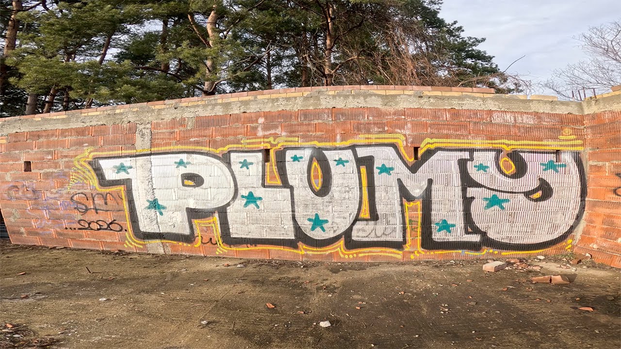 Graffiti by Plum // Fat pieces on the block.