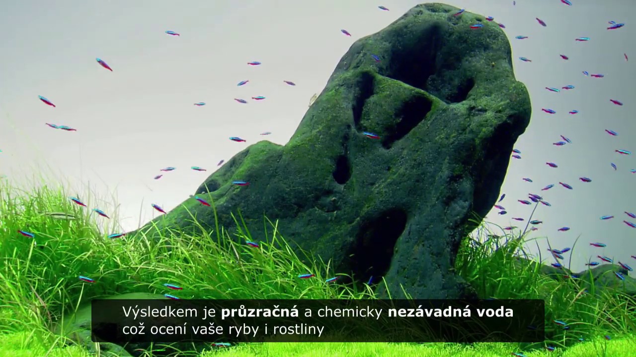 Jak na křišťálově čistou vodu v akváriu?