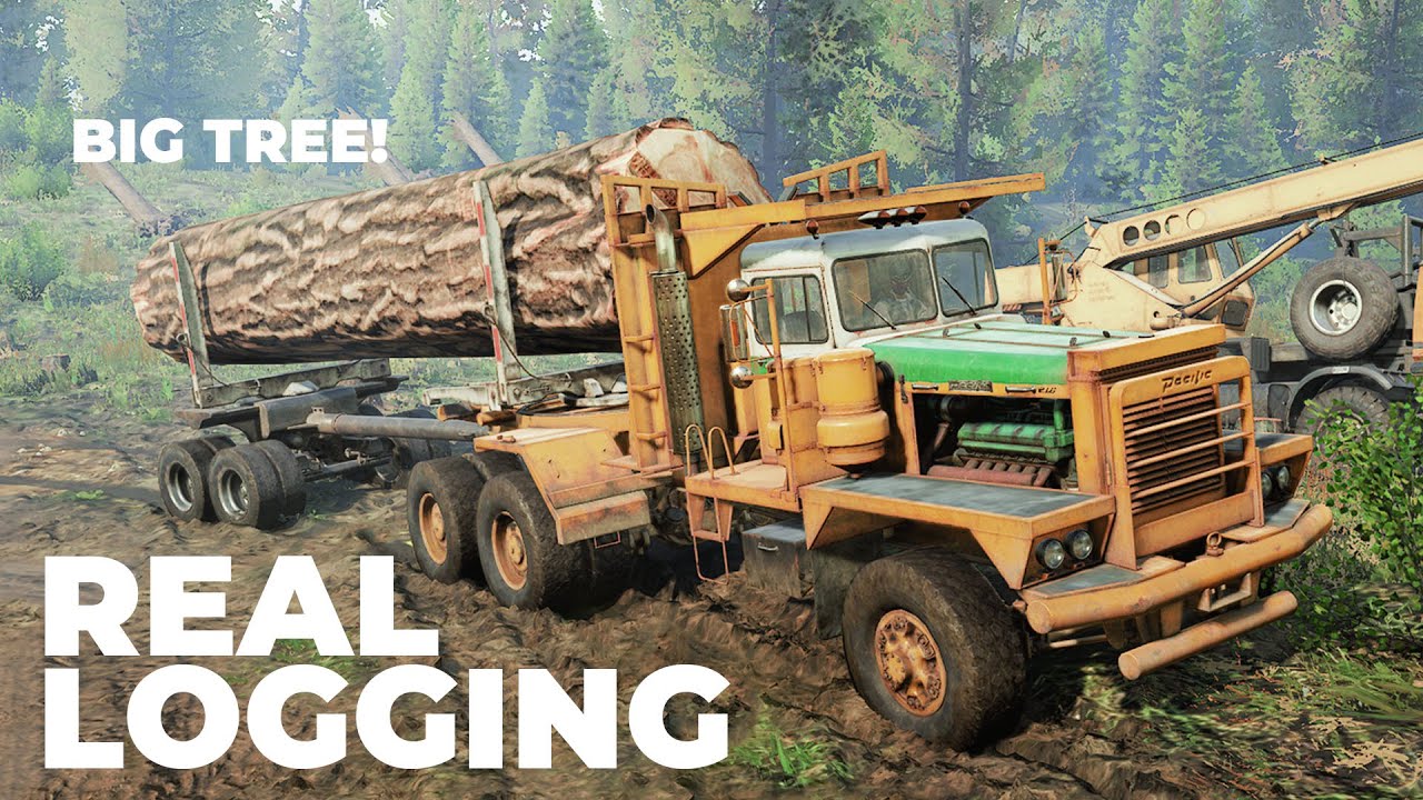 Real Logging - Driving P16 in Ontario Canada | Snowrunner Mods
