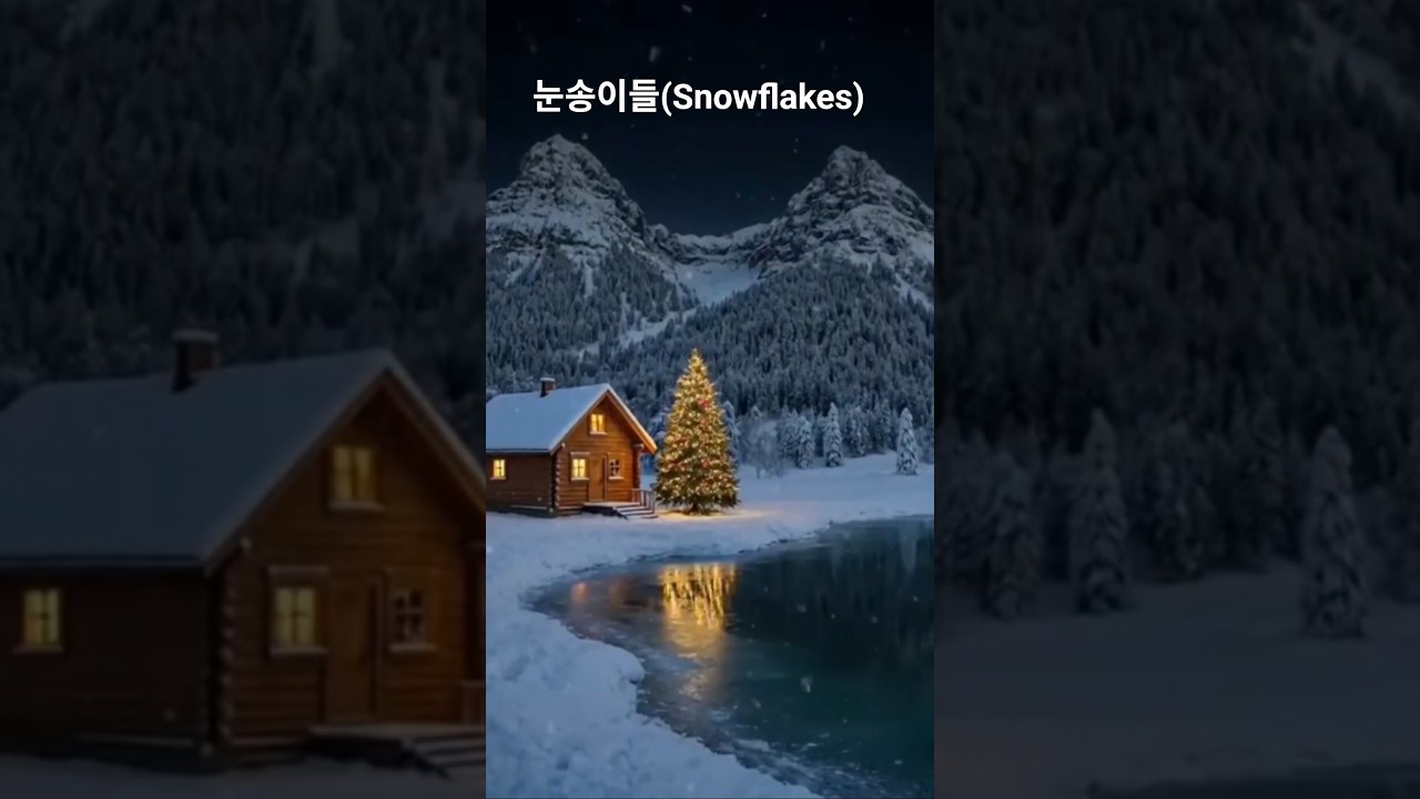 2026년 2월 25일