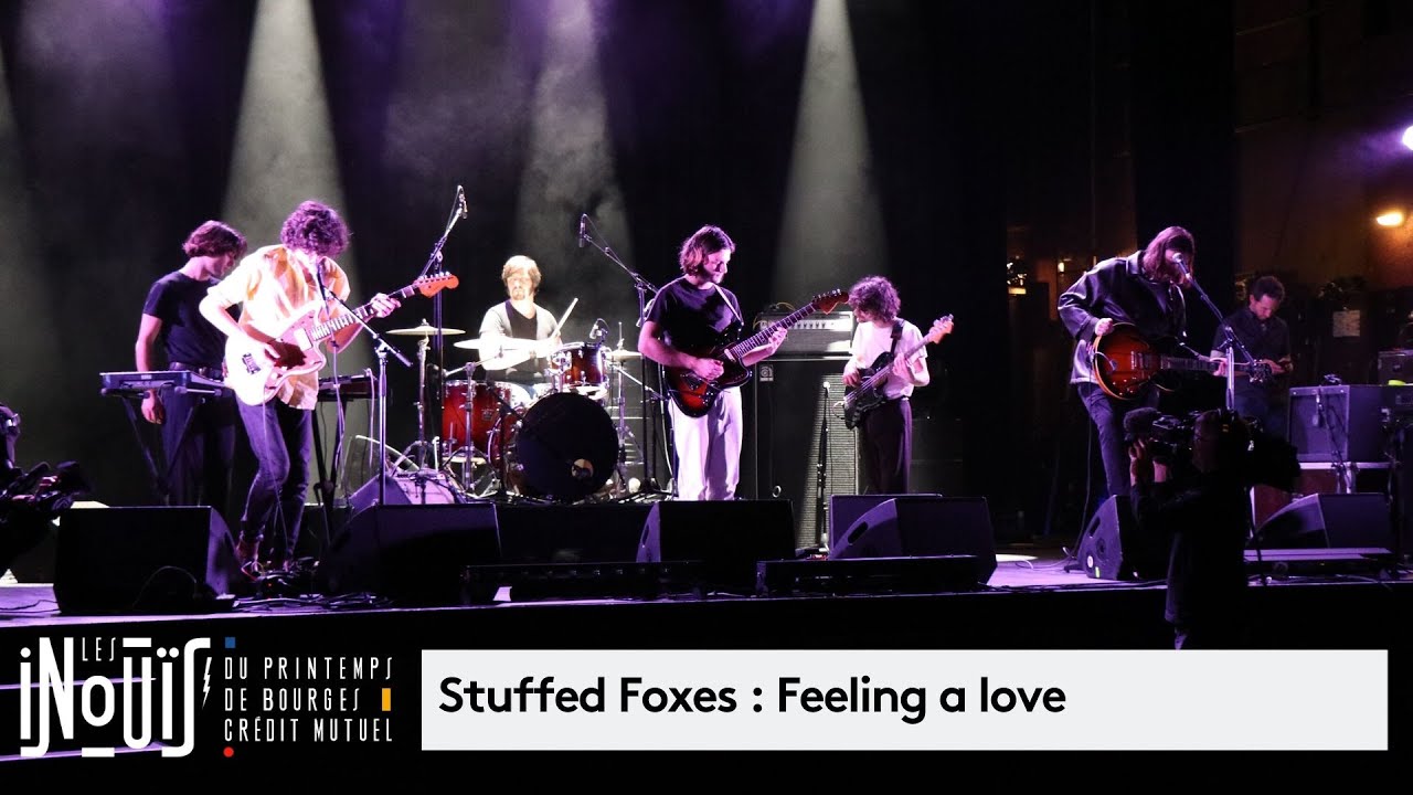 Stuffed Foxes : concert audition r&eacute;gionale 