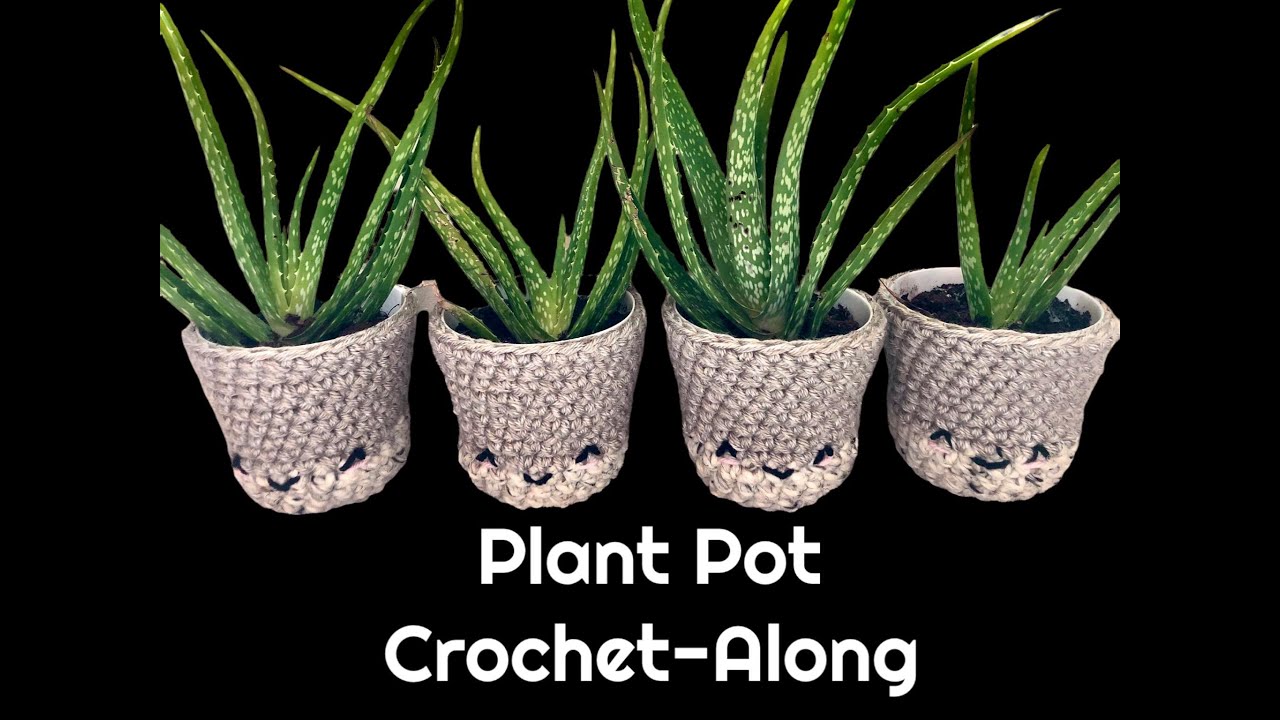 How to crochet an easy plant pot cover.
