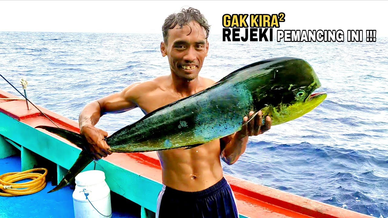 Nyaris tak percaya!! Sekali umpan turun langsung strike || Nelayan Rembang - Cupliz Ahmad