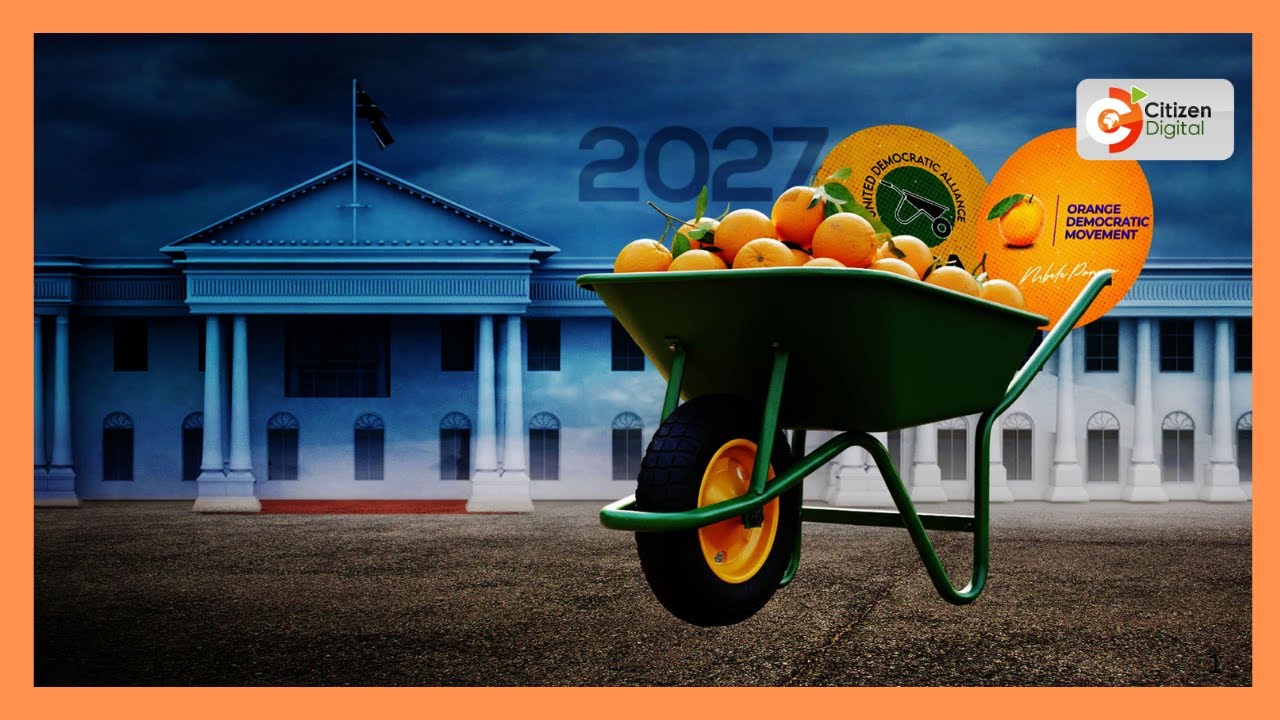 Oburu Oginga: Kindiki tulia, ODM haitaki unaibu Rais 2027