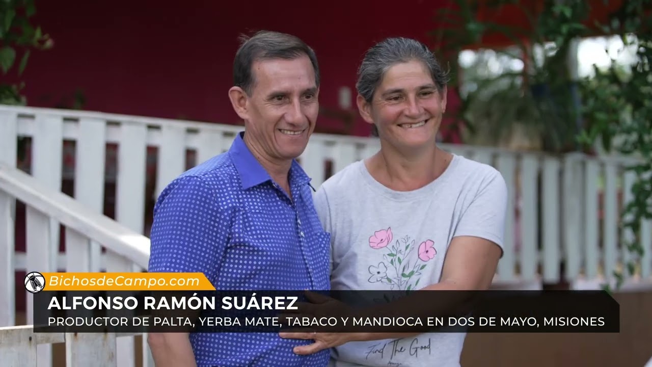 Alfonso Ramón Suárez, productor de palta, yerba mate, tabaco y mandioca en Dos de Mayo, Misiones