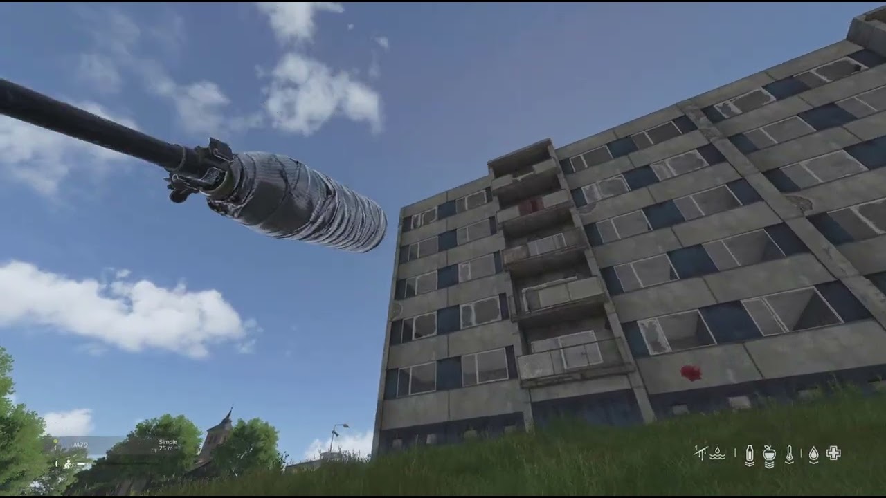 OWNER OF NADBOR DAYZ PS5 OFFICIAL SERVER 2044