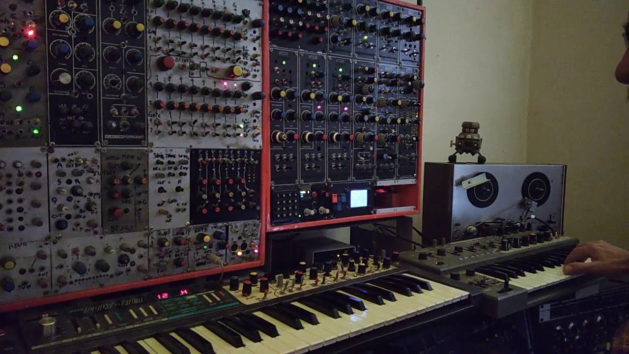 Ludus Pinsky Live lockdown diaries