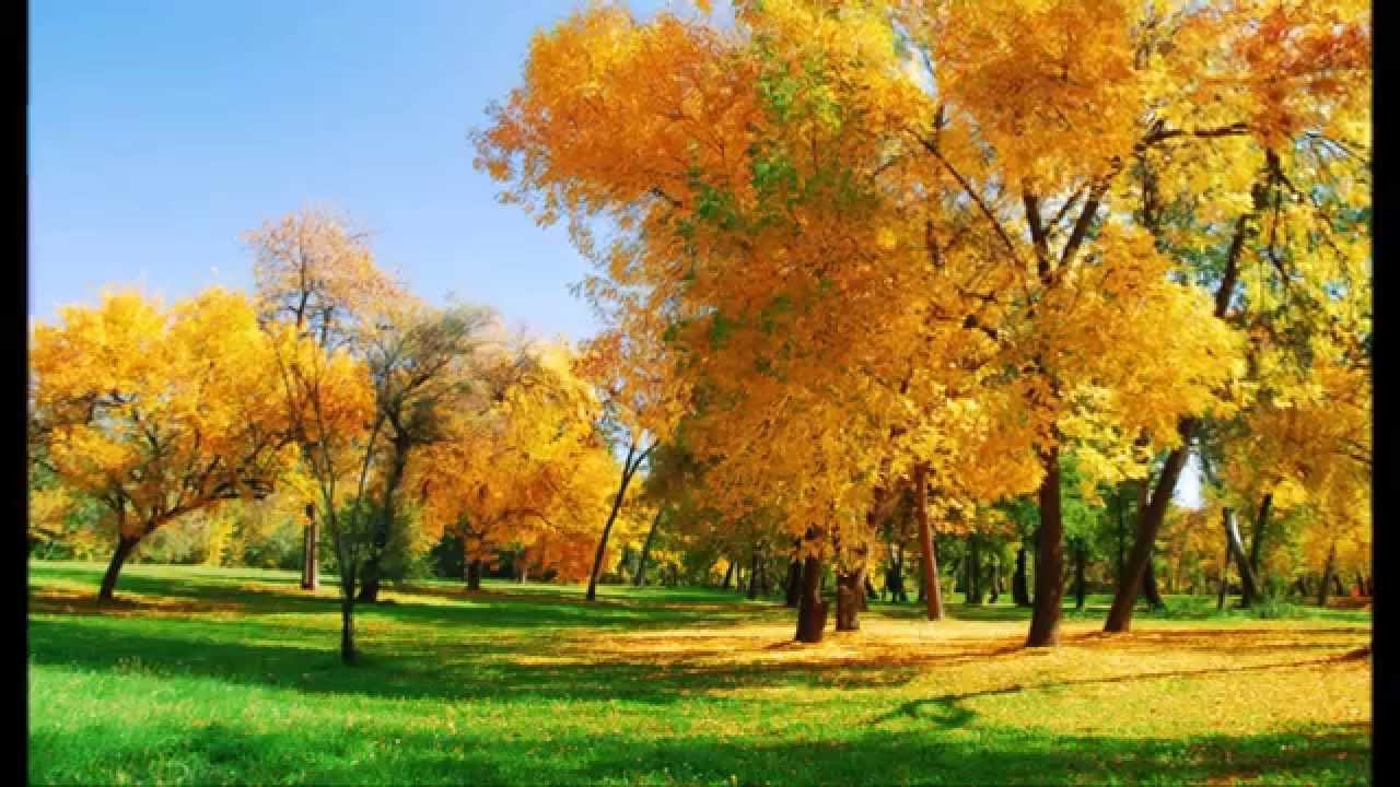 M&uacute;sicas para medita&ccedil;&atilde;o e crescimento interior