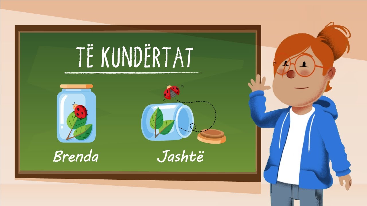 Gjej Fjalen e Kunder | Antonimet | Lojra Edukative për Femijë