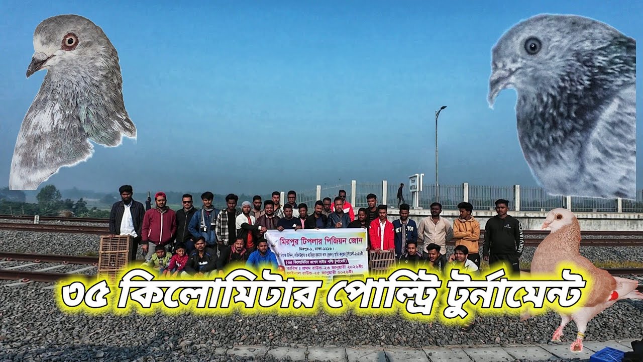 মিরপুর টিপলার পিজন জোনের ৩৫ কিলোমিটার পোল্ট্রি টুর্নামেন্টের প্রথম দিন🕊️