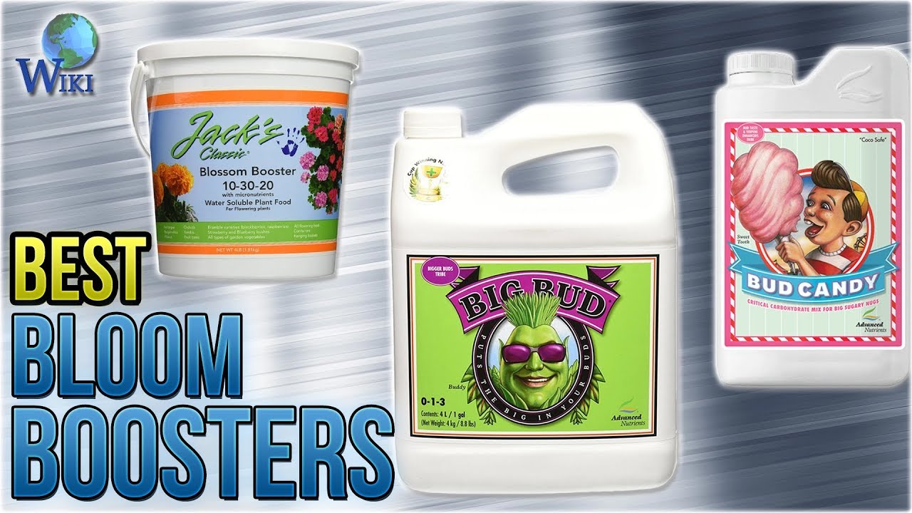 10 Best Bloom Boosters 2018