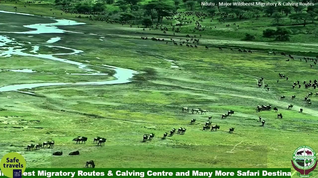 Ngorongoro Crater
