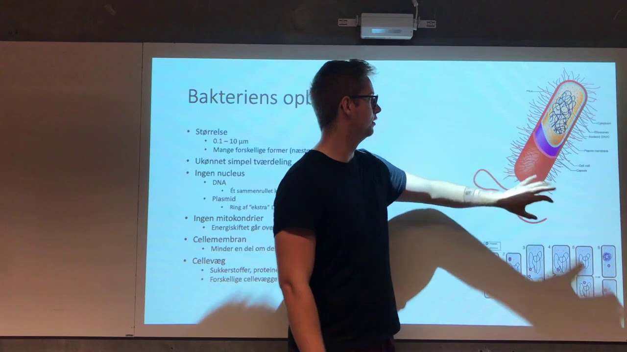 Basal mikrobiologi