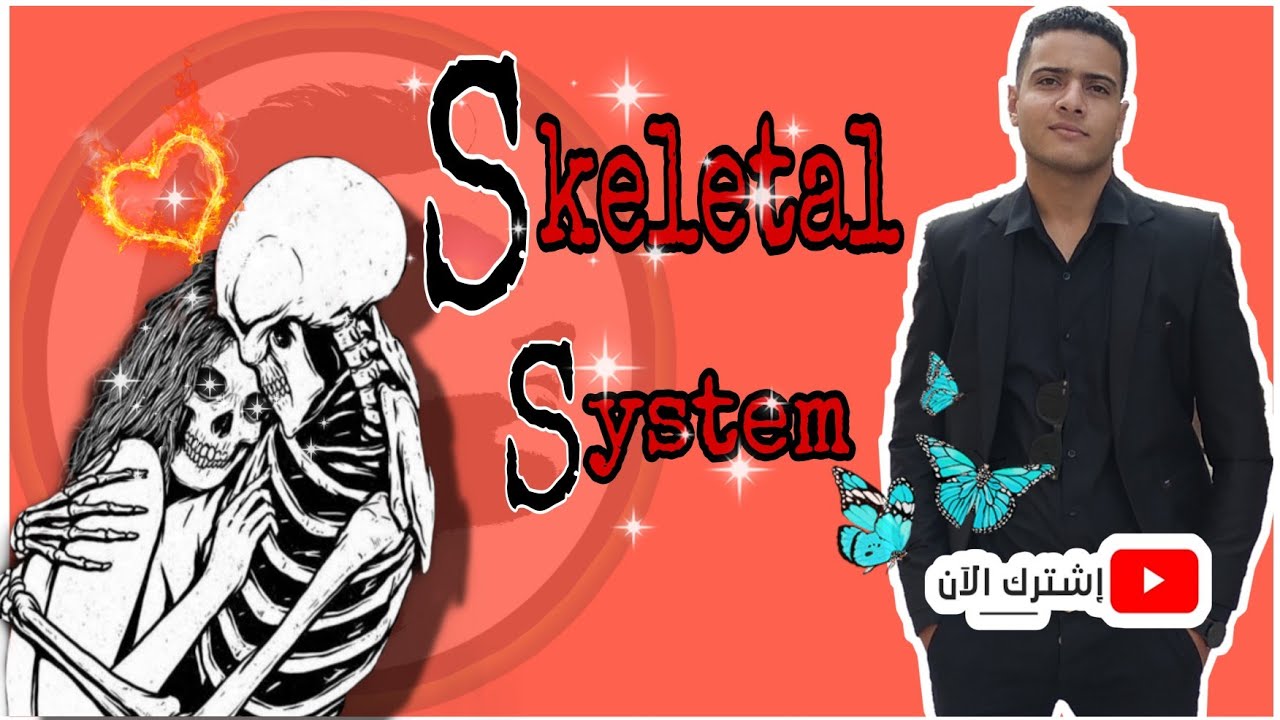 تشريح (4) | الهيكل العظمي