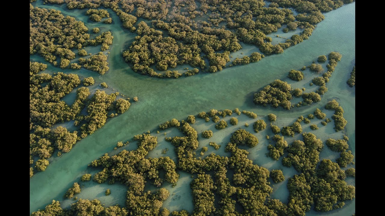 Qurum Nature Reserve | 4K UltraHD | محمية القرم الطبيعية