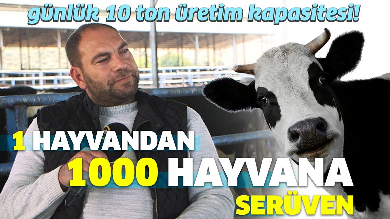 1 HAYVANDAN 1000 HAYVANA SERÜVEN / Günlük 10 Ton Üretim Kapasitesi! - Etten Süte