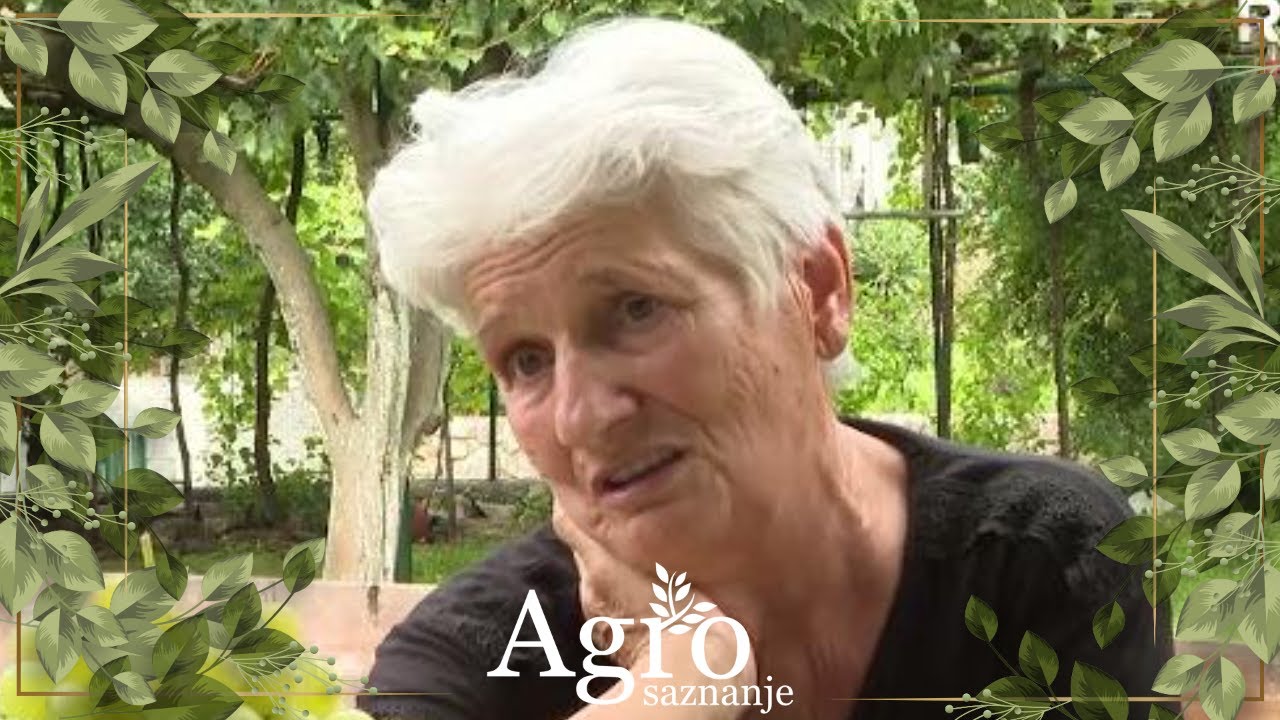 Priče iz Bandića, Sukuruća, sela Ptič i Čepelice -  AGROSAZNANJE