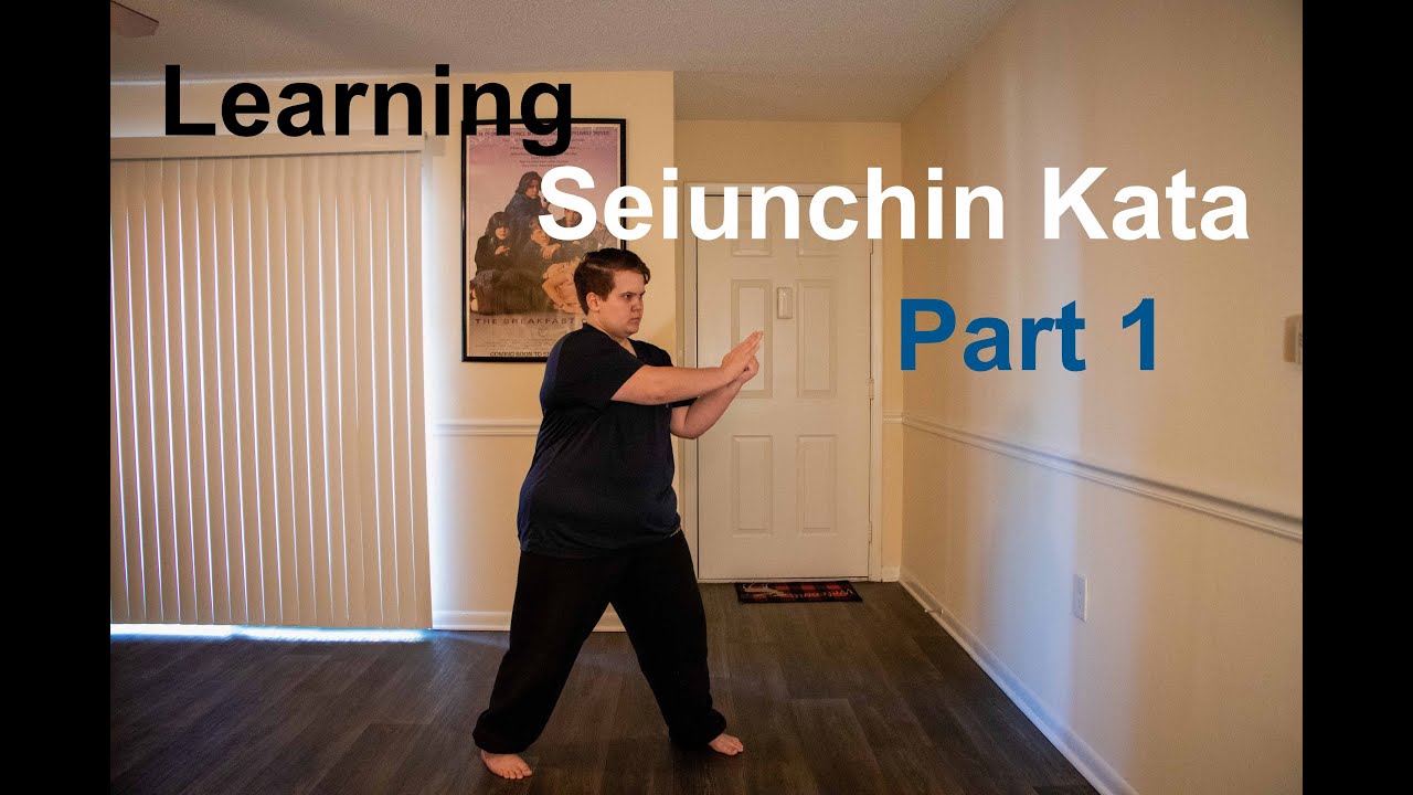 Learning: Seiunchin Kata Part 1