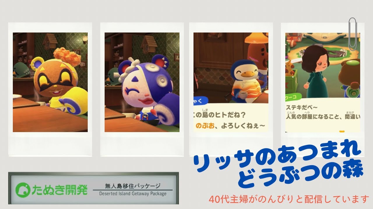 あつまれどうぶつの森　キッズルーム　4号室
