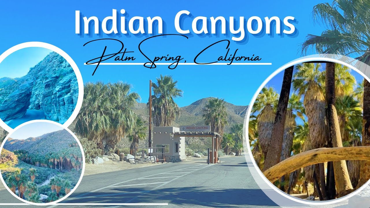 Indian Canyon Hiking Trails , Palm Spring, California | Best Hiking Trails in Palm Spring