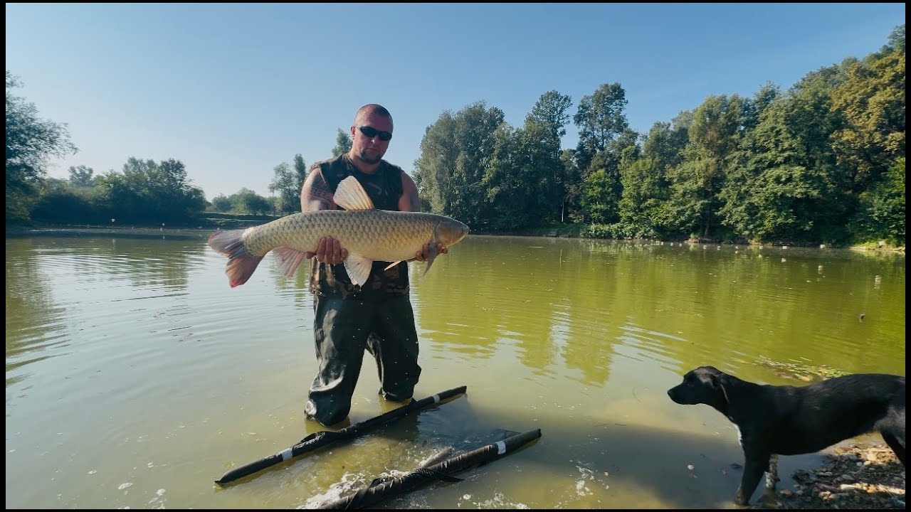 Jekica jezera - Obudovac - Bosnien und Herzegowina - Karpfenangeln - Carp Fishing - September 2025