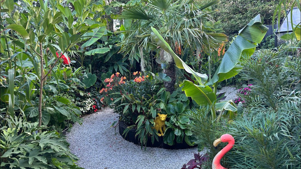 UK Tropical style garden tour. Lancashire new build year 3. 