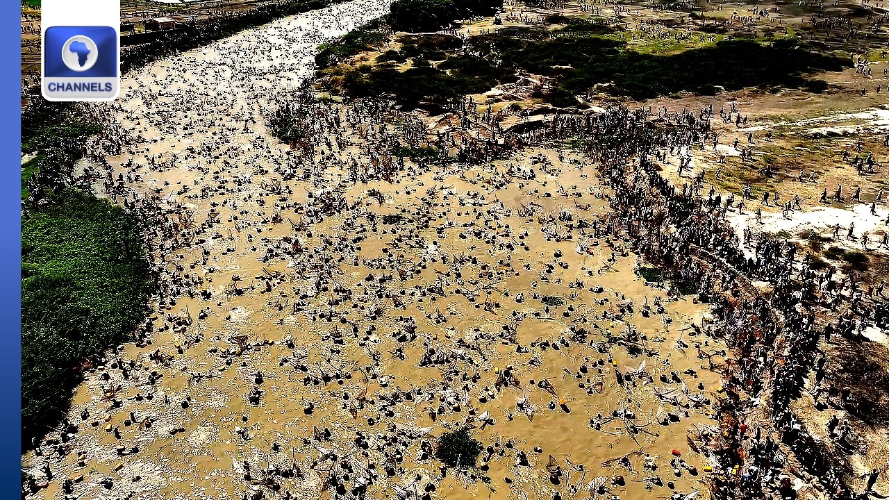 Drone Shot Of The Argungu Fishing Festival