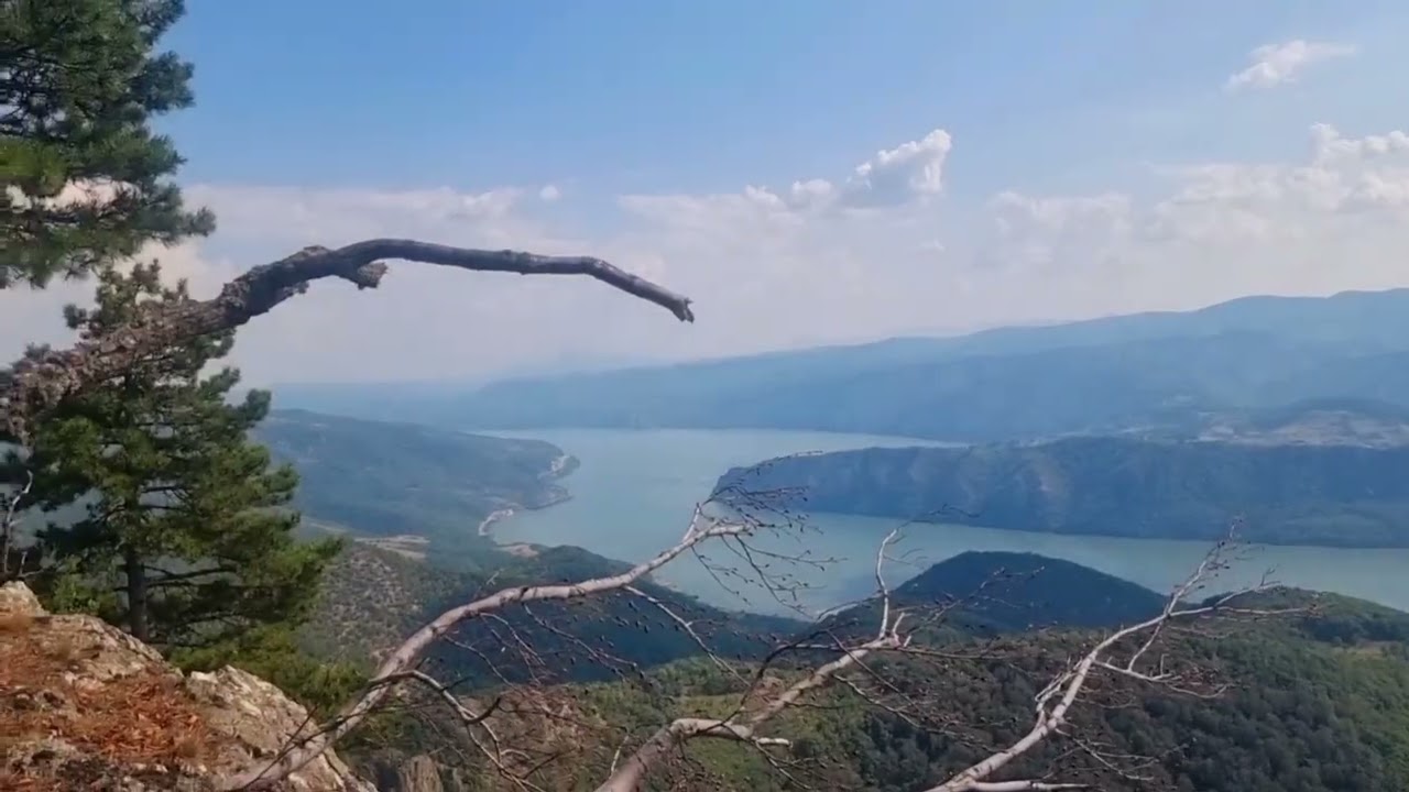 V&acirc;rful Trescovat din Clisura Dunării