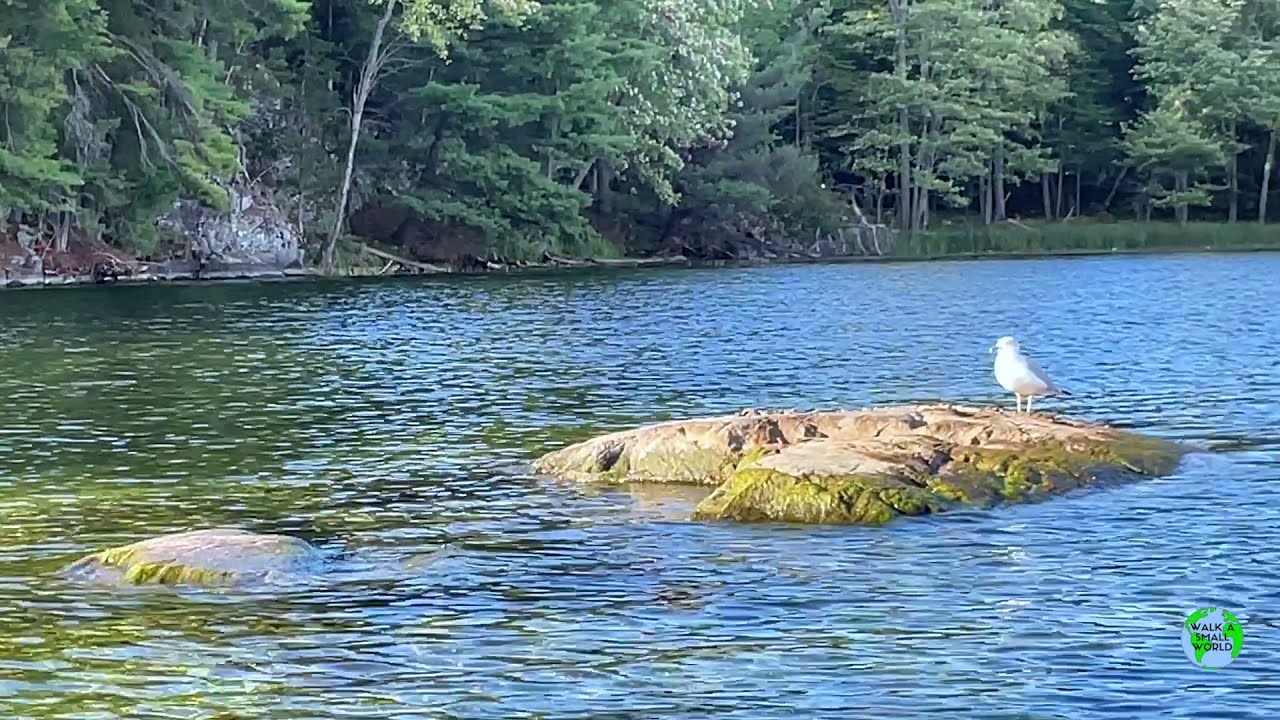 Beautiful 🛶 CHARLESTON LAKE by boat | Ontario Canada