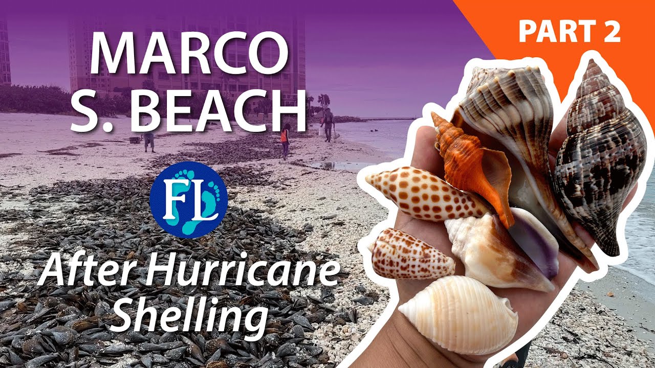 Part 2 of 2:  Storm Shelling Marco South Beach Post Hurricane Milton