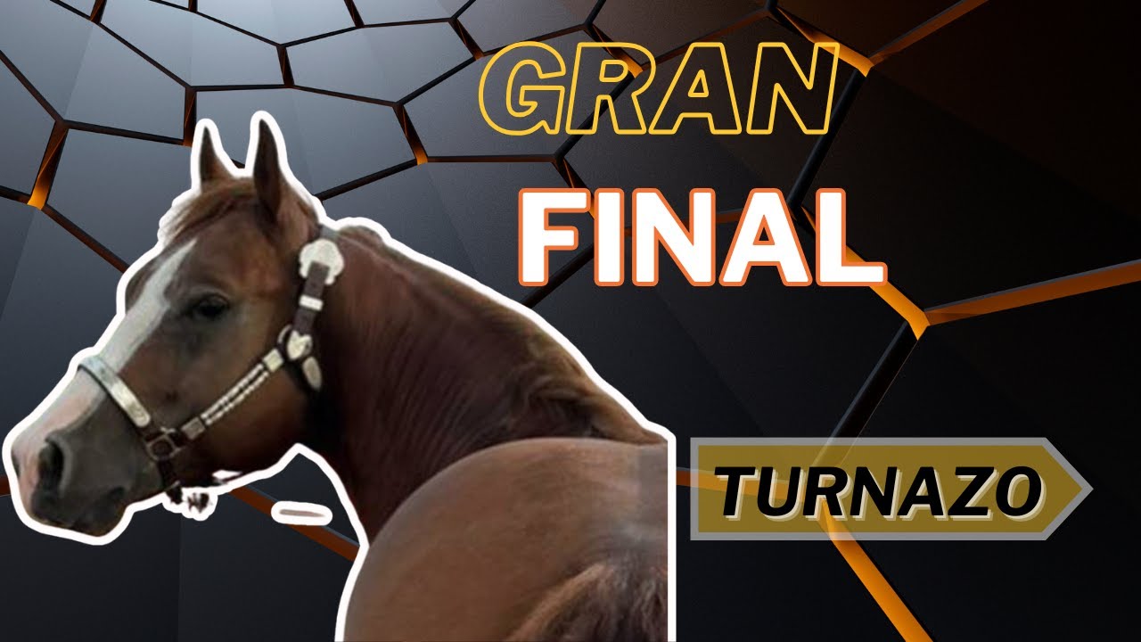 FINAL DE ARPA VOCES Y TOROS COLEADOS 2022
