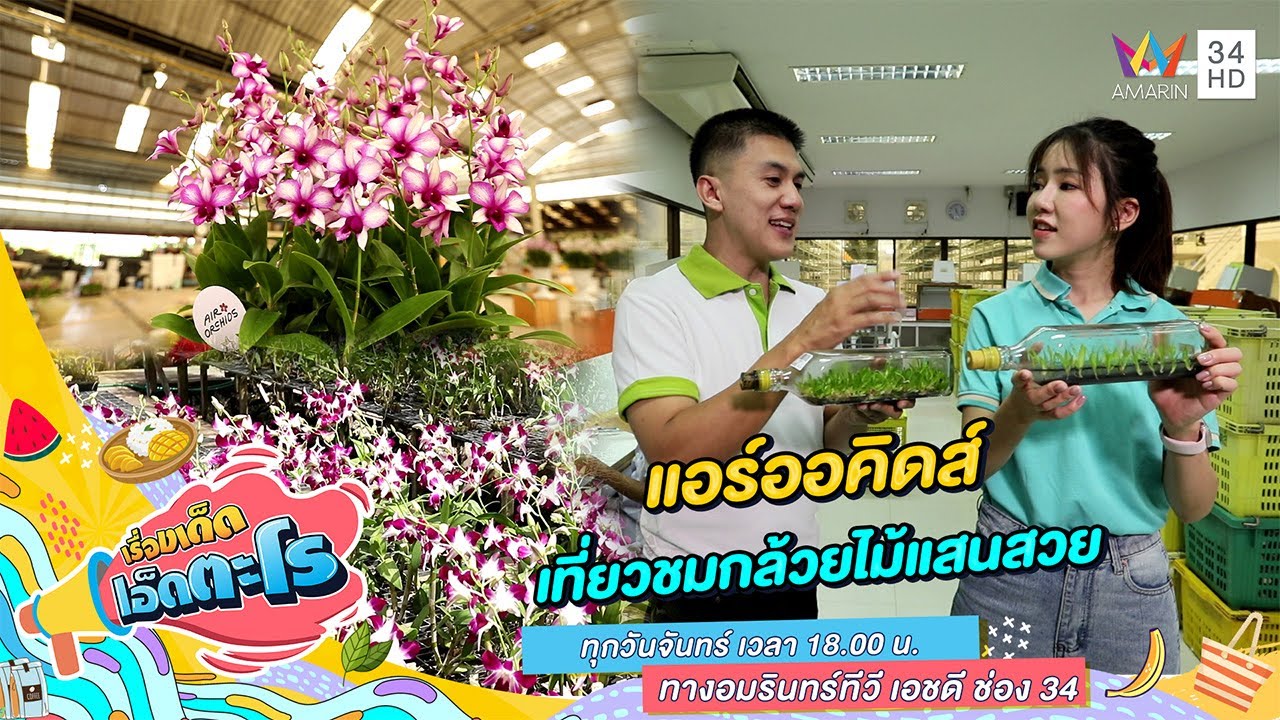แอร์ออคิดส์ เที่ยวชมกล้วยไม้แสนสวย | เรื่องเด็ดเอ็ดตะโร