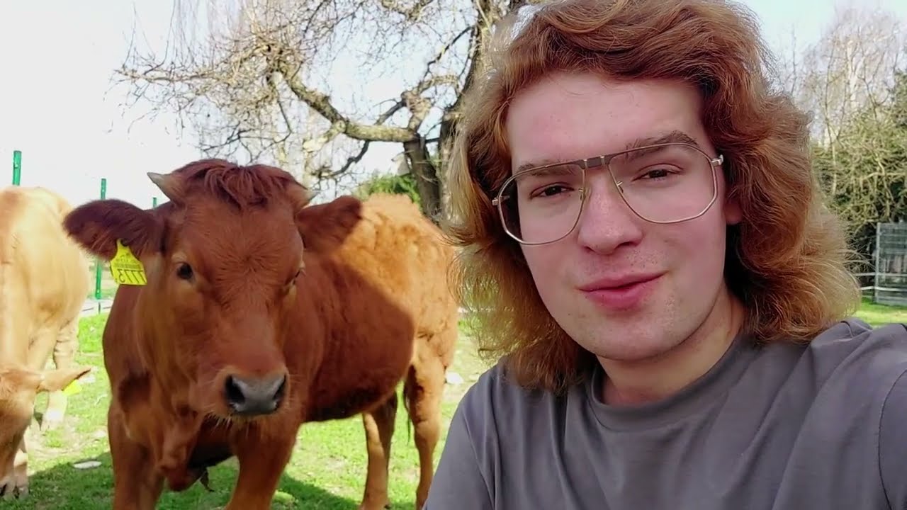 Uszczuplamy bocianie gniazdo