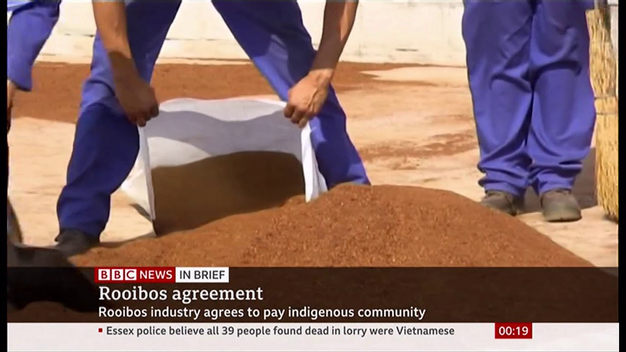 Rooibos 'red bush' tea agreement (South Africa) - BBC News - 2nd November 2019